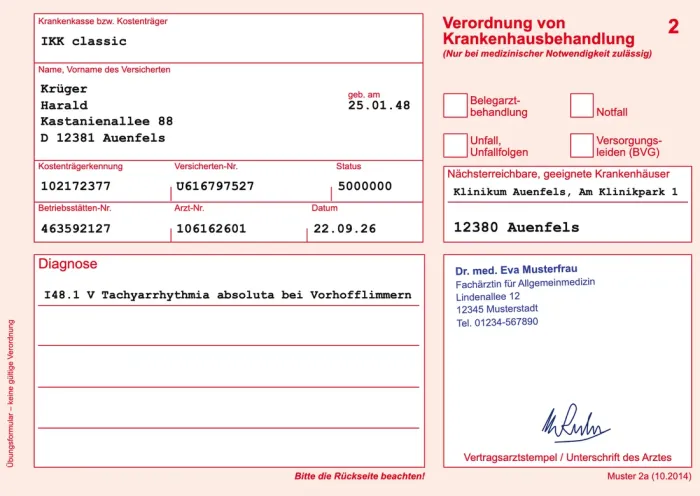 Beispiel einer Übungs-Krankenhauseinweisung aus PaperSIM